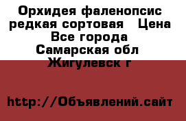 Орхидея фаленопсис редкая сортовая › Цена ­ 800 - Все города  »    . Самарская обл.,Жигулевск г.